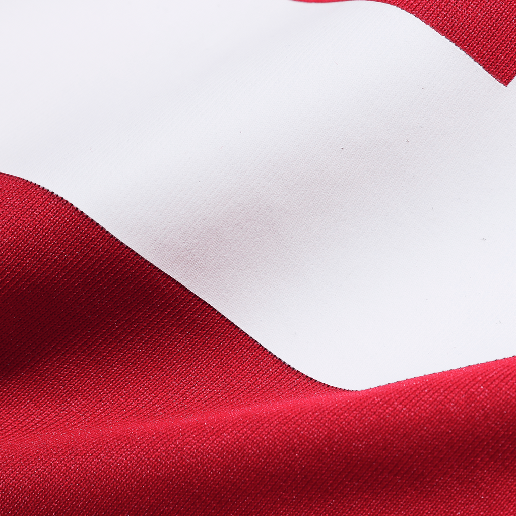 San Francisco 49ers Roger Craig Nike Team Retired Game Jersey - Scarlet