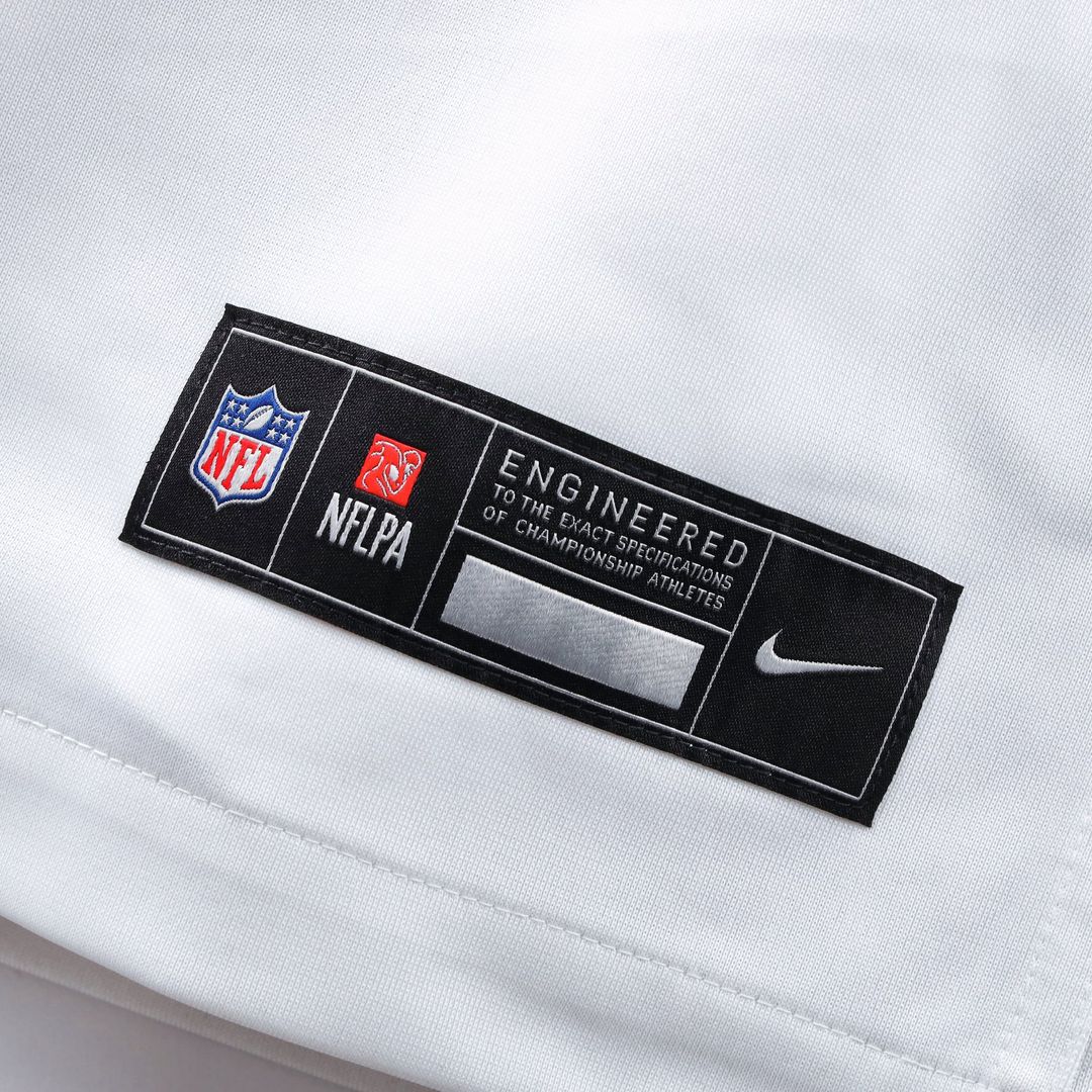 Washington Commanders Hail Raiser Washington Commanders Terry McLaurin Nike Alternate Game Jersey - Black