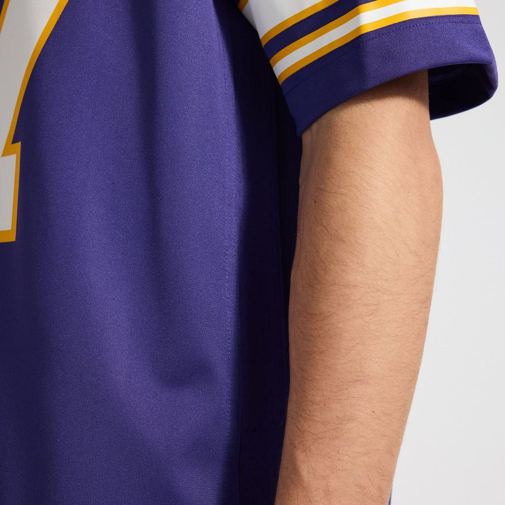 Minnesota Vikings T.J. Hockenson Nike Classic Player Game Jersey - Purple